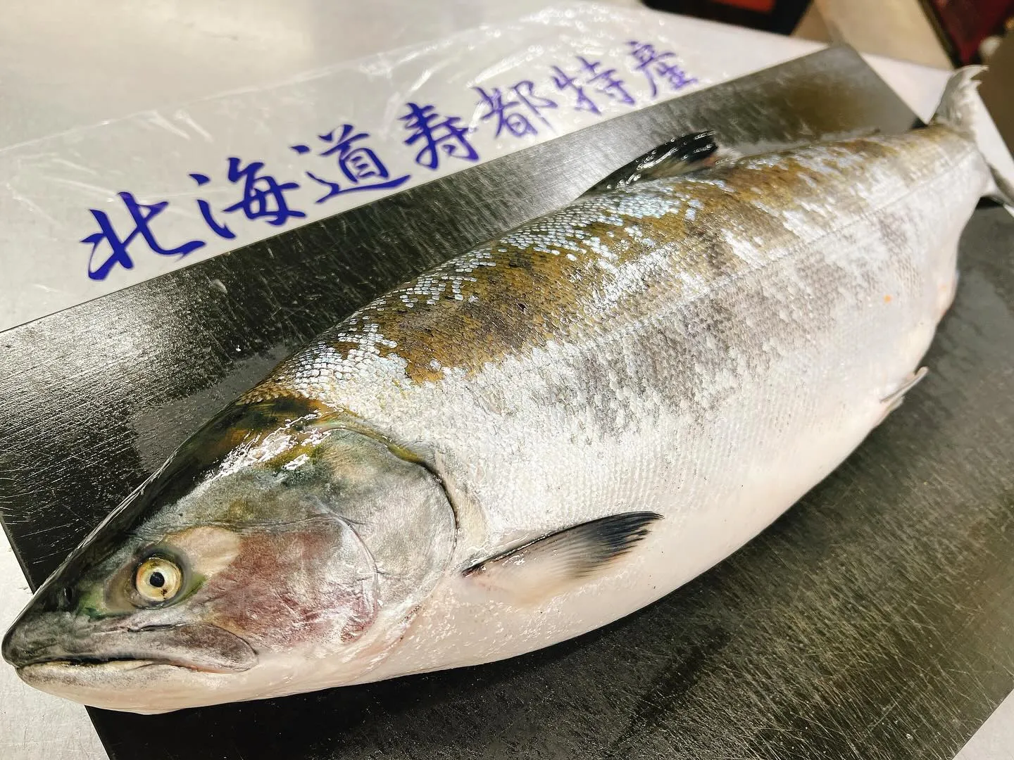 今が旬！桜マス(桜)