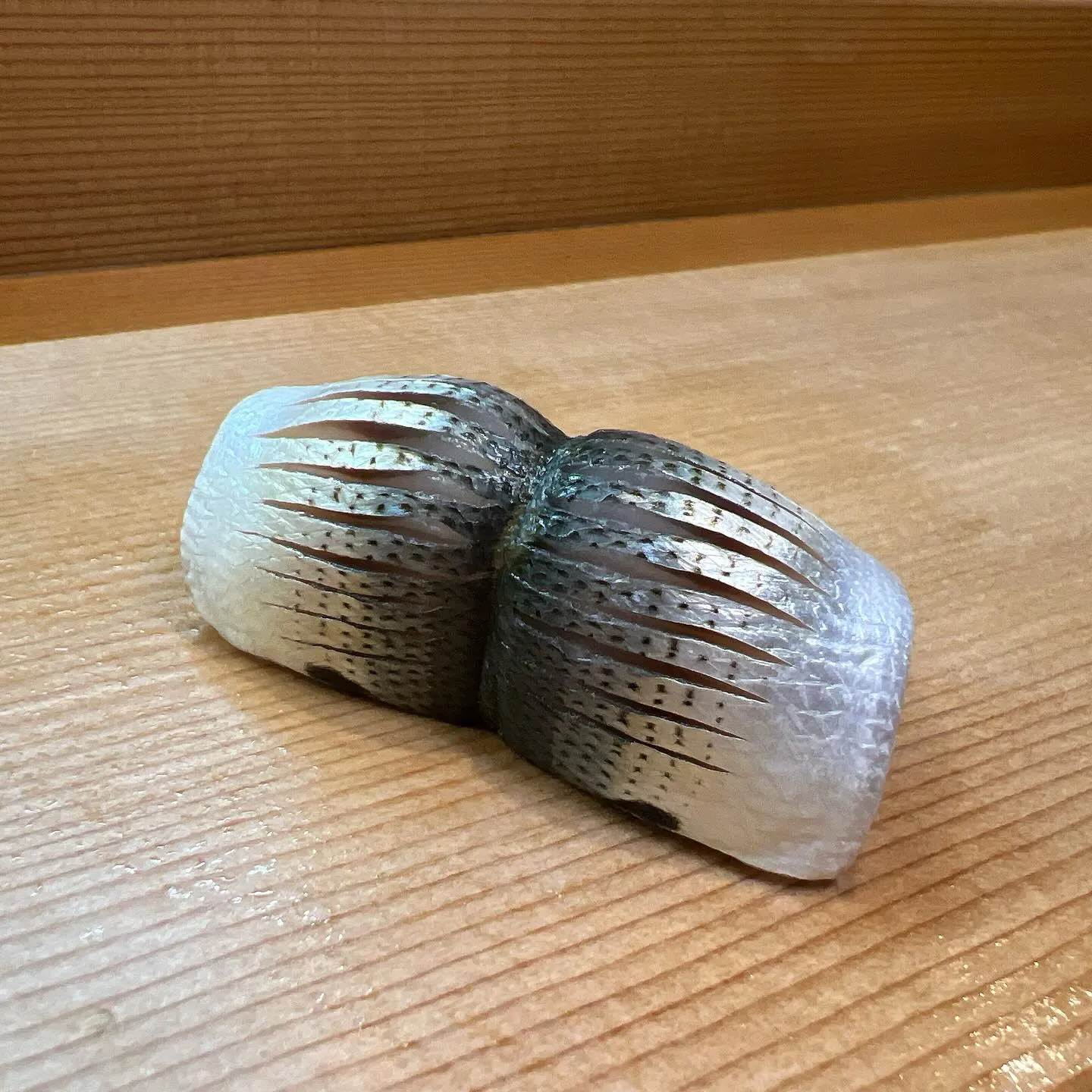 1尾付けサイズに成長した新子も、厚みを増してきました。