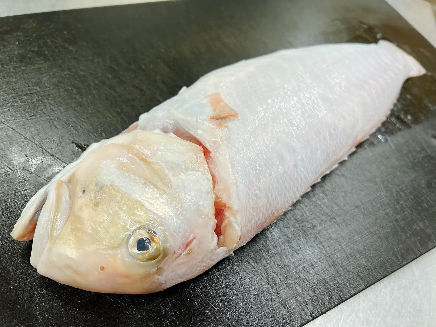 宮崎産“活白甘鯛”！