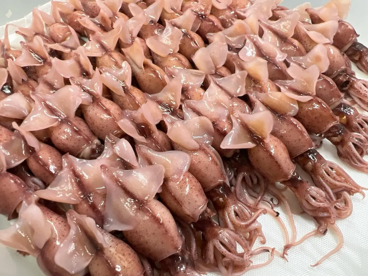 新物入荷！春を告げる、ホタルイカ😋