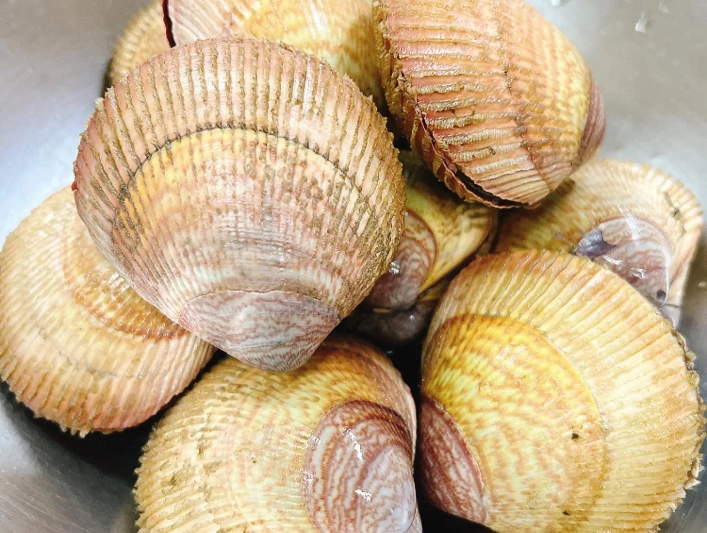 生トリ貝！プリプリの食感と、濃厚な甘みがたまりません😋